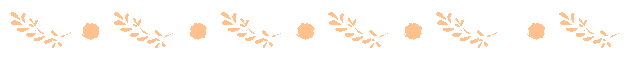 20241119171924_9234 20241119171924_9234