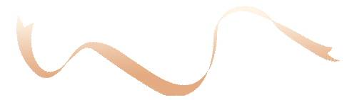 20260228133330_1271 20260228133330_1271