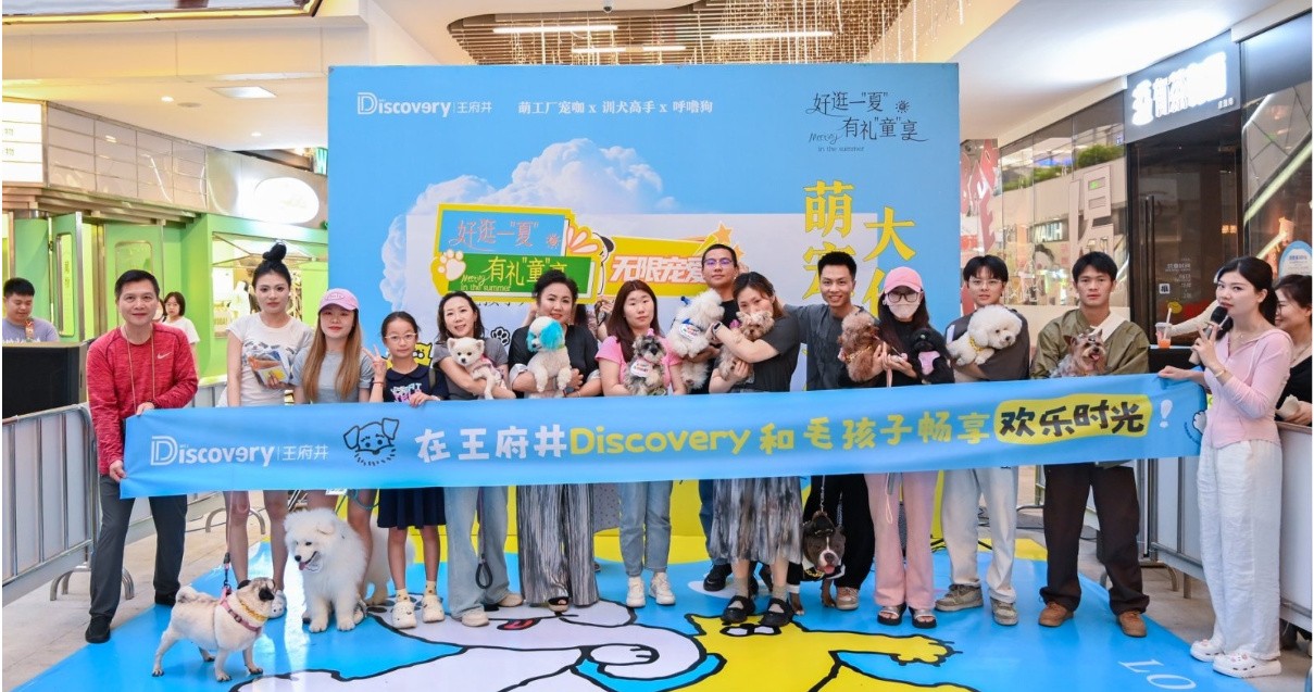 成都老子有钱lzyq88官网Discovery